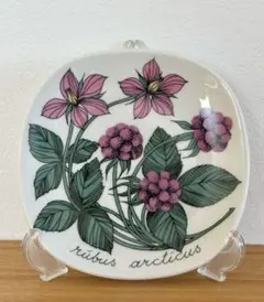 美品　アラビア　ボタニカ　陶板　４枚セット 2025年最新】アラビア ボタニカの人気アイテム - メルカリ