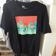 ステューシー２枚セット