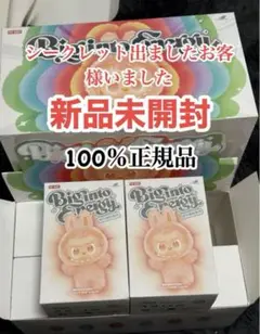 【正規品・未開封】Labubu Big into Energy 2箱