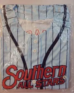 2025年最新】サザンオールスターズ 茅ヶ崎ライブ ベースボール