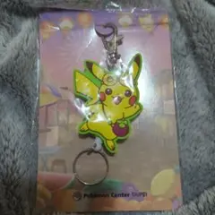 限定品 ポケモン ポケパーク 2005 ピカチュウの森 メタルキーホルダー