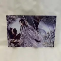 小説『魔道祖師 2』アニメイト限定購入特典 ポストカード - メルカリ