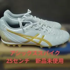 Item thumbnail for item e2a12ba2-1cb9-4ffa-8a74-ba6d508a2755