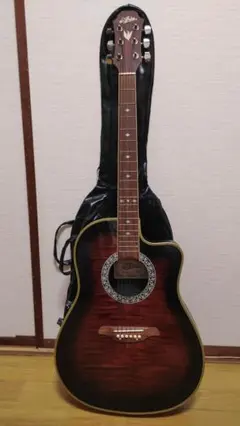 2025年最新】ARIA アコースティックギターの人気アイテム - メルカリ