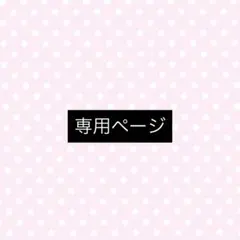 専用ページ