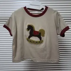 AI ARAI しまむら 刺繍Tシャツ　試着のみ　サガラ
