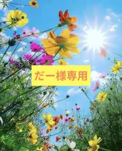 専用ページです