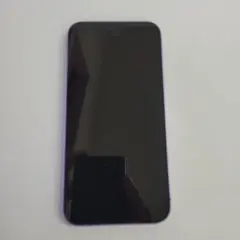 Apple iPhone 12 本体128G パープル