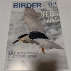 BIRDER　バーダー　 2019年2月号