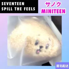 SEVENTEEN セブチ サノク キーリング ドギョム Qoo10] earpearp ［SEVENTEENドギョム,スングァン
