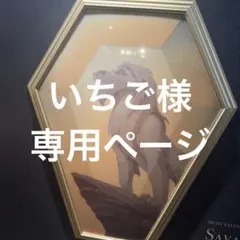 いちご様　専用ページ