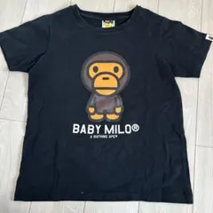 2025年最新】ape マイロ tシャツの人気アイテム - メルカリ