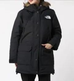 【値下げ】THE NORTH FACE Mountain Down Jacket
