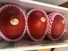 生産直送 みやざき完熟マンゴー 2L 3玉 約1kg 濃厚果肉のサムネイル
