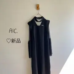 AIC. プリーツフレアースリーブロングドレスK84
