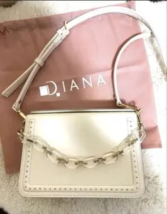 DIANA クリアチェーンバッグ