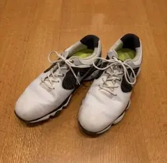 NIKE ゴルフシューズ LUNARLON FLYWIRE
