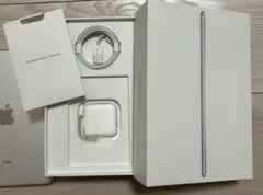 Apple iPad mini 5 64GB Wi-Fi 本体