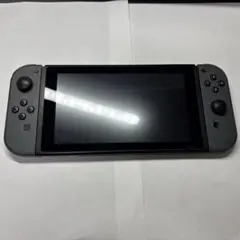Nintendo Switch グレー 本体 ドッグ 充電コード