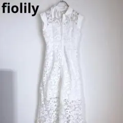 fiolily ノースリーブワンピース　ロングワンピース　透け感　ホワイト　F