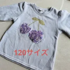 【120サイズ】any FAM★チェリートレーナーのサムネイル