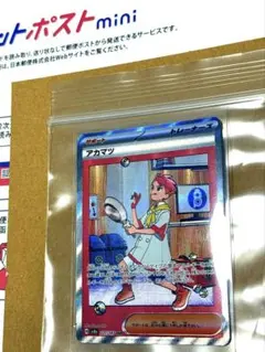 【まとめ値引】 アカマツ SAR テラスタルフェス