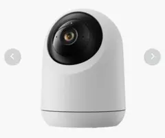 Item thumbnail for item df55ce50-adc2-454e-9831-99bf8f520d45