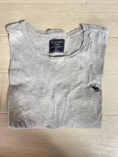 Abercrombie & Fitch グレー Tシャツ XS