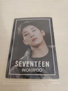 SEVENTEEN　ウエハース　セブチ　ウォヌ