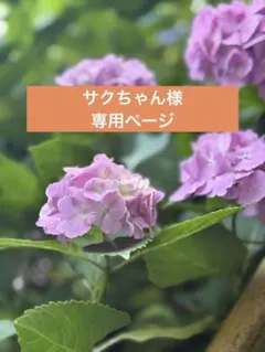 サクちゃん様専用ページ