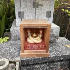 新品未使用 土の種さんの蝶のお皿2点set⑤ やちむん 作家もの - メルカリ