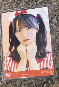 2025年最新】野口衣織 生写真 仲直りシュークリームの人気アイテム