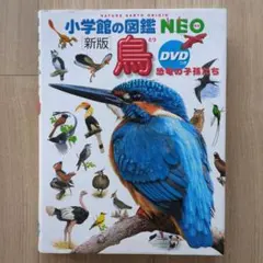 Item thumbnail for item a8cb84bc-2309-4af5-90f8-bee244d400b0