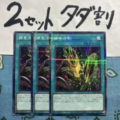 遊戯王 捕食活動 3枚セット 2セットタダ割☆ギム Ca4