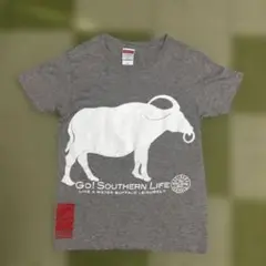 未使用品！石垣島ACHICOGO 水牛プリント Tシャツ 150