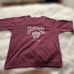 カレッジ Tシャツ