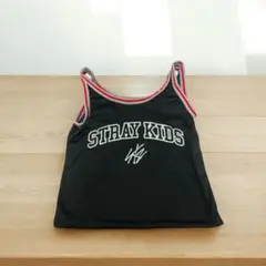 Stray kids dominATE アプグレグッズ　メッシュバッグ