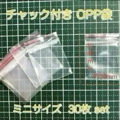 ミニサイズ 約4x3cm ジップロック チャック付きポリ袋 30枚 ビーズ