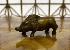 石垣 ヤエヤマノコギリクワガタ 規制前採集 【標本】 - メルカリ