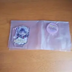 BTS タイニータン V アクスタ