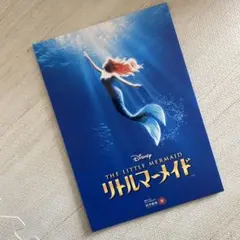 Item thumbnail for item 37433ca1-e569-470f-a085-1f97bdec9aae