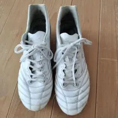 ミズノ モナルシーダネオ