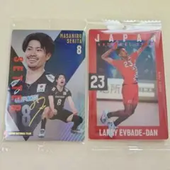 男子バレー日本代表 ツインウエハース