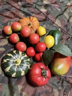 リアルな果物と野菜の置物セット