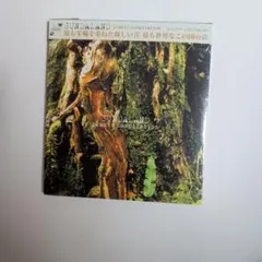 SUNDALAND plants compilation 新品未開封