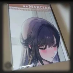 NIKKE マルチクロス コスチュームコレクション2 マルチャーナ