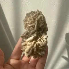 デザートローズ✨大きいサイズ❣️