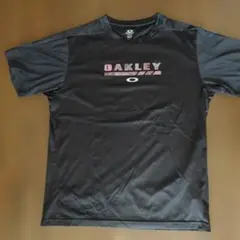 Item thumbnail for item 54ae2df5-eb9f-4f82-a311-197fe5736436