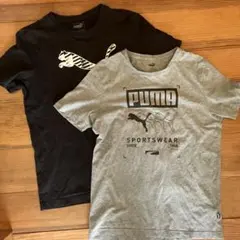 PUMA Tシャツ 2枚セット Mサイズ