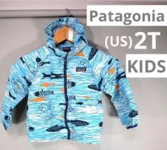 Patagonia KIDS 2T ナイロンジャケット パタゴニア　こども 春